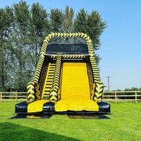 Toboggans gonflables à thème coloré commercial toboggan gonflable extérieur pour aire de jeux toboggan gonflable en PVC grand toboggan sautant