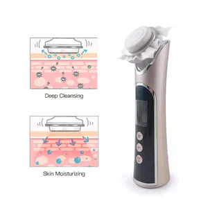 Dropshipping Draagbare Beauty Lifting Skin Instrument Foton Facial Massager Microcurrent Handheld Ems Led Light Face Apparaat
