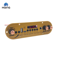 Placa Amplificadora de Potencia para Karaoke de Alta Calidad, 60W, Doble Canal, para Cajas de Altavoces Portátiles DIY