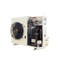 Unité de condensation à compresseur hélicoïdal hermétique 3-7HP R404A pour chambre froide, type boîte à décharge latérale