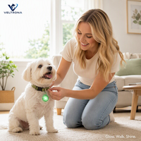 Clip lumineux LED de sécurité pour animaux de compagnie, pendentif lumineux rotatif à 360°, lampe de marche nocturne pour chien à fixer sur le collier, lampe de sécurité lumineuse pour animaux.