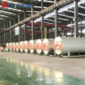 Qingdao ZLZSEN Induction Tube Steam Boiler Water Treatment