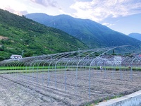 Rumah Kaca Plastik Polytunnel Tahan Angin Kencang dengan Sistem Pasang di Tanah untuk Proyek Pertanian Pedesaan