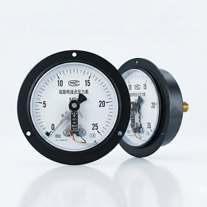 Instrumentos de Medición de Presión, Manómetros Mecánicos Analógicos de Acero Inoxidable para Gas, Líquido, Manómetro de Contacto Eléctrico - Product Image 1