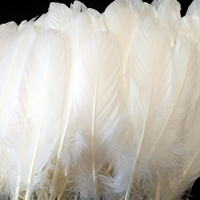 Plumes d'oie blanches naturelles lavées pour la décoration de robes, jupes, coiffes d'ange, accessoires de danse et loisirs créatifs – Structure légère