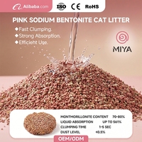 Litière pour chat en bentonite de sodium en gros, faible teneur en poussière, contrôle des odeurs, agglomération dure, marque privée, OEM, échantillon gratuit