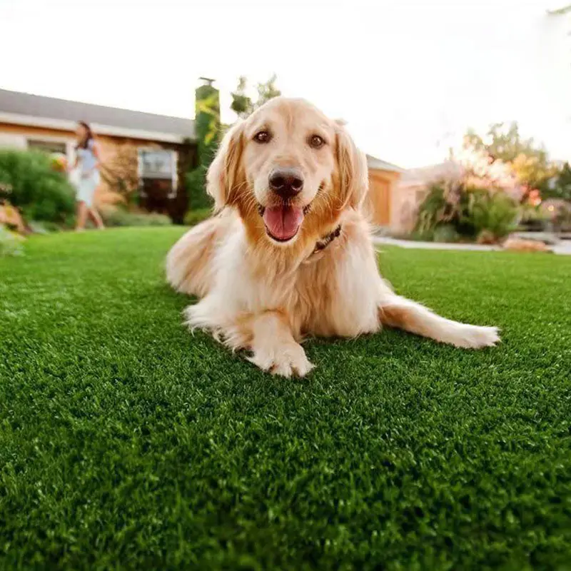 Stocked Artificial Lawn Pet Toilet Mat Fake-turf Balcony Simulation Carpet Mat For Dog & Cat Defecation