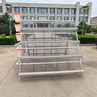 Cage de poussins de type A galvanisée pour élevage de volailles
