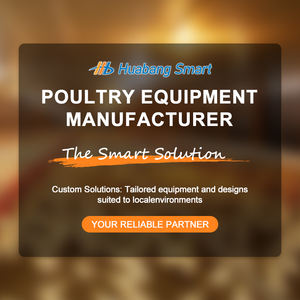 Jaula de Pollo Comercial de Alambre de Acero Galvanizado de 3/4 Niveles para Granja Automática, Equipo de Cría de Aves de Corral Grande, Venta al por Mayor de Fábrica - Product Image 6