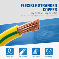 Cable de Alimentación de Cobre Trenzado de Alta Resistencia de 10 AWG con Aislamiento de PVC, Clasificado para 750V, para Proyectos de Construcción Comercial