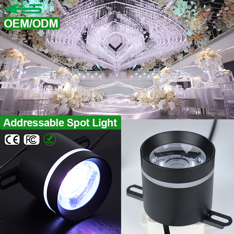 ODM 24V DMX512 Pixel LED Spotlight RGB RGBW Artnet Addressable LED Spot Light Ceiling for Hotel Banquet Hall