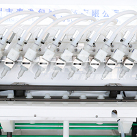 Ligne de remplissage linéaire entièrement automatique haute précision et haute vitesse à 16 têtes, équipement de remplissage de bouteilles, machine de remplissage par débordement par gravité