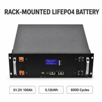 Baterai Rak LiFePO4 CD-SRB512100 51.2V 100Ah dengan BMS Pintar 6000 Siklus Terminal Tanpa Alat 5.12kWh Cadangan UPS Server Tenaga Surya