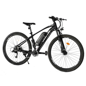Vélo électrique de passager, moto à vendre modèle <span class=keywords><strong>2021</strong></span> - Product Image 2