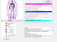 Analyseur de bureau 12D NLS pour le corps Version espagnole Nutraceutiques Parapharmaceutiques AURA Analyse des chakras Méta Thérapie USB