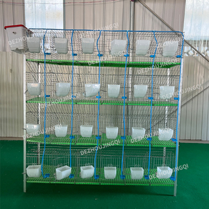 Vente flash : <span class=keywords><strong>Cage</strong></span> à lapins industrielle européenne 24 portes, prix avantageux, haute qualité - Product Image 2