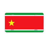 Plaques d'immatriculation personnalisées avec drapeau de la Guyane, plaque d'immatriculation nationale personnalisée, souvenir du pays, cadeau, plaque décorative