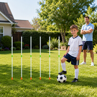 Kinder-Fußball-Trainingsstangen-Set mit Beleuchtung, 6 Leuchtende Stangen, LED-Fußball, 6 Modi, Schießspiel für den Garten, Geschenk