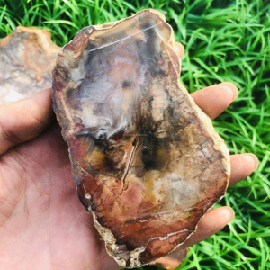 <strong>Wholesale</strong> Bulk Natural Colorful Petrified Specimen Wood fossil <strong>Raw</strong> Stone Slab Healing <strong>Crystal</strong> for Decoration - Product Image 3