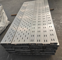 Câble ventilé de type échelle en acier inoxydable pour usage industriel et construction, fixation murale extérieure, prix direct usine