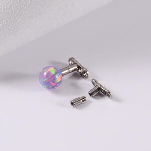 <span class=keywords><strong>Tige</strong></span> de perçage en titane G23 14/16G, fil de dent interne, langue, ongles, accessoires auxiliaires, <span class=keywords><strong>tige</strong></span> d'extension de perçage de la langue des lèvres - Product Image 3