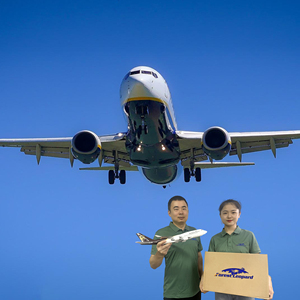 Agente de envío profesional Transporte de carga de China <span class=keywords><strong>Shanghai</strong></span> a Europa EE. UU. América EE. UU. - Product Image 2
