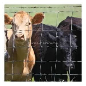 Clôture agricole de clôture de bétail galvanisée par fil à haute résistance clôturant la clôture de champ fabriquée en Chine