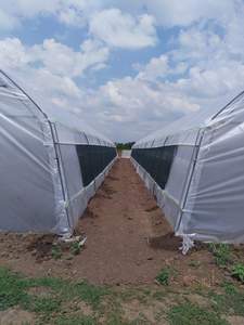 Agricola Del Cerchio Serra Telaio Polytunnel Casa Verde - Product Image 4