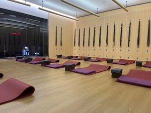 Sangles de suspension murales en bois pour <span class=keywords><strong>yoga</strong></span>, systèmes de barres et échelles, support de fixation, taille personnalisable - Product Image 2