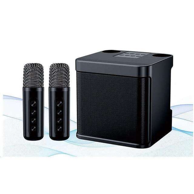 High Quality Wholesale Portable Karaoke Speaker With Wireless Mic Wireless Party Karaoke Speaker Kd203