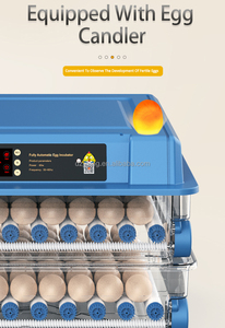 Máy Ấp Trứng Để Ấp 100 Trứng Máy Ấp Trứng Gia Cầm, Máy Ấp Trứng Có Kiểm Soát Nhiệt Độ Độ Ẩm, <span class=keywords><strong>F</strong></span> - Product Image 6