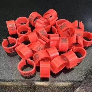 Open Kleurrijke Vogel Voet <span class=keywords><strong>Ring</strong></span> 8Mm <span class=keywords><strong>Plastic</strong></span> Homing Duif Identificatie Ringen Kleurrijke Open Vogel Benodigdheden - Product Image 4