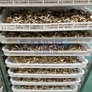 Séchoir à champignons à température réglable, four de séchage à pompe à chaleur, déshydrateur de champignons professionnel - Product Image 1