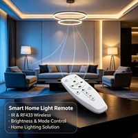 Control Remoto Inalámbrico JCXK de 13 Teclas IR y RF433 para Lámparas LED Inteligentes, Personalizable OEM/ODM