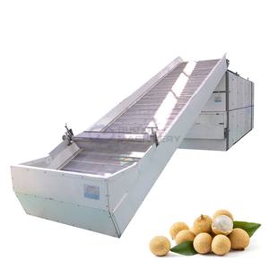 Équipement <span class=keywords><strong>de</strong></span> séchage à bande transporteuse à prix d'usine pour le séchage du rambutan, du longane et du litchi - Product Image 1