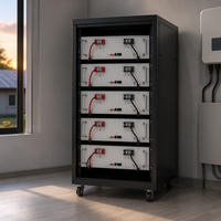 Modul Baterai LiFePO4 Rakit di Rak dengan BMS Cerdas untuk Sistem Penyimpanan Energi Rumah, Inverter Hibrida Surya, dan PV Off-Grid