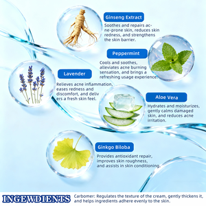 Crème de traitement de l'acné à base de plantes avec ginseng, lavande et menthe poivrée, réduit <span class=keywords><strong>les</strong></span> <span class=keywords><strong>rougeurs</strong></span> et l'inflammation, renforce la barrière cutanée, atténue <span class=keywords><strong>les</strong></span> marques d'acné - Product Image 6