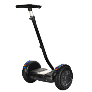 セグウェイSMART10 BALANCE WHEEL セグウェイSMART10 BALANCE WHEEL Smart10 10 Inch Balance