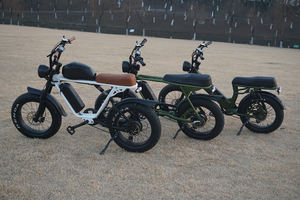 จักรยานไฮบริดไฟฟ้าซุปเปอร์วินเทจ,ใหม่ปี2023ยางล้อรถ20นิ้ว<span class=keywords><strong>1000W</strong></span> Ebike 48V 30AH - Product Image 5