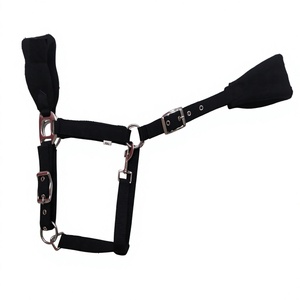 Equipo ecuestre de calidad, cabezada acolchada para caballo con doble hebilla y forro de lana, fabricante de collares para caballo en Kanpur, India. - Product Image 6