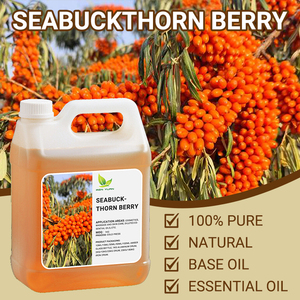 Nhà máy cung cấp Hữu Cơ tinh khiết <span class=keywords><strong>seabuckthorn</strong></span> Berry <span class=keywords><strong>seabuckthorn</strong></span> Hoang Dã Camellia táo gai hạt giống 100% lạnh ép tự nhiên tàu sân bay dầu - Product Image 2