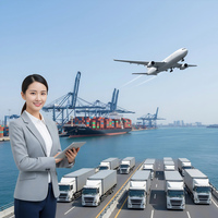 Agente Logístico Profesional de Entrega Rápida Puerta a Puerta, Dropshipping DDP/DDU, Transitario de Carga Aérea/Marítima a EE. UU., Envío desde China