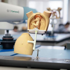 نموذج توضيحي متقدم لآلية الولادة يدوية التشغيل، محاكي طبي، دمية تعليمية، مستلزمات طبية - Product Image 3