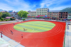 INOLP - Suelo Deportivo de Césped Artificial Ecológico Personalizable, 10 mm de Grosor, Pista de Atletismo para Exteriores, Hecho con Materiales Reciclados No Tóxicos - Product Image 3