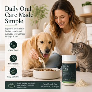 Soins bucco-dentaires professionnels pour chiens et chats, poudre dentaire, contrôle de la plaque dentaire, haleine fraîche, formule personnalisée, étiquette privée - Product Image 2