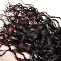 Fournisseur d'usine en gros Cheveux humains brésiliens Remy Water Wave, tissage à double trame, 100g, bruts et 100% non traités