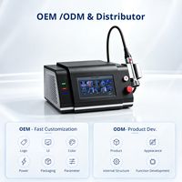Appareil de thérapie laser médical de classe IV 10W-30W avec 810nm 980nm pour les cliniques vétérinaires professionnelles