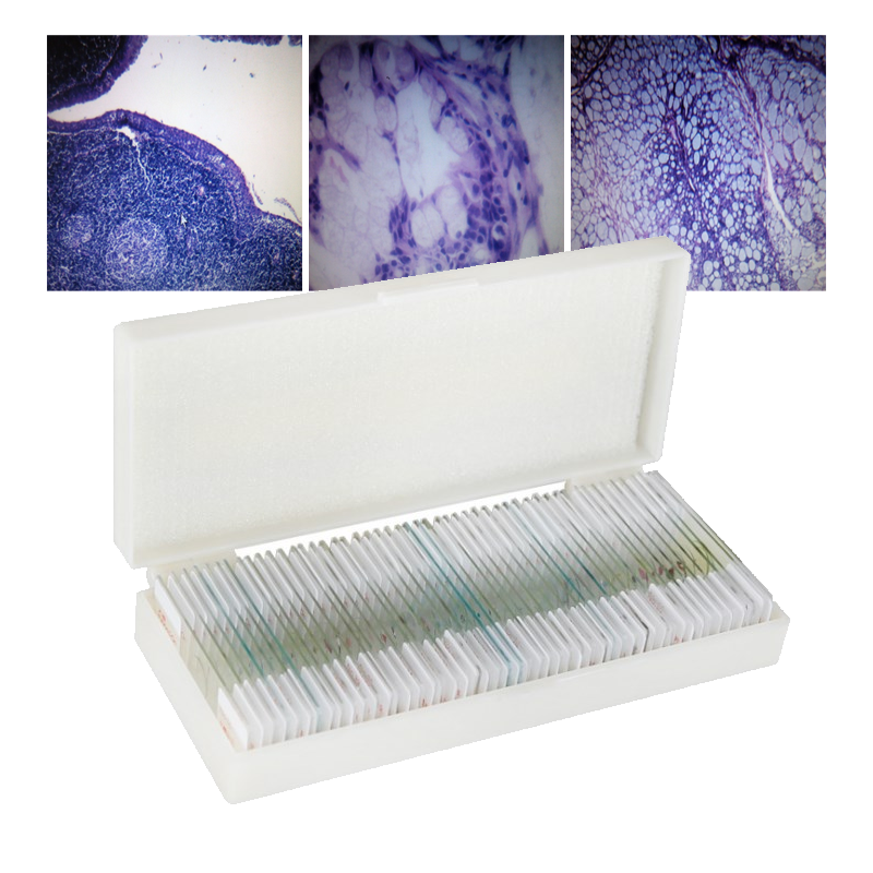 Заводская Настройка, индивидуальный дизайн, декоративный дизайн для детей, для обучения мировым шарикам