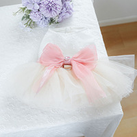 Robe en mousseline bouffante pour chien et chat, robe de soirée haut de gamme, robe de mariée en dentelle pour animaux de compagnie