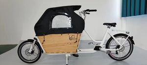 Vélo cargo électrique à deux roues pour bébé avec batterie au lithium, cadre en alliage d'acier/d'aluminium, <span class=keywords><strong>remorque</strong></span> familiale pour vélo - Product Image 6
